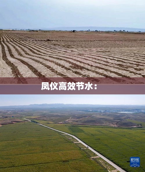 凤仪高效节水： 