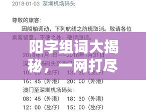 阳字组词大揭秘，一网打尽，探索与发现