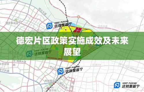 德宏片区政策实施成效及未来展望