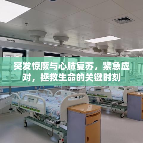 突发惊厥与心肺复苏，紧急应对，拯救生命的关键时刻