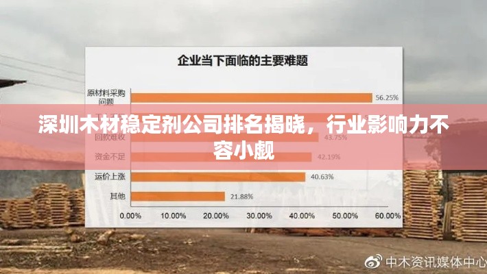 深圳木材稳定剂公司排名揭晓，行业影响力不容小觑