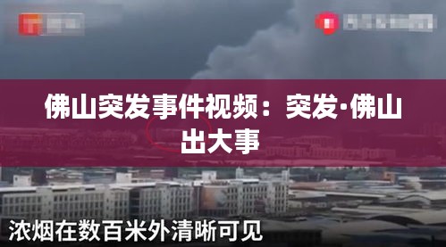 佛山突发事件视频：突发·佛山出大事 