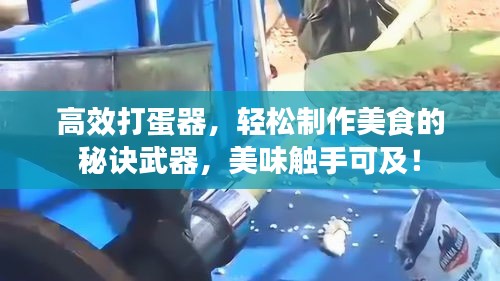 高效打蛋器，轻松制作美食的秘诀武器，美味触手可及！