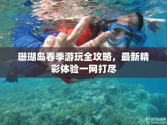 珊瑚岛春季游玩全攻略，最新精彩体验一网打尽