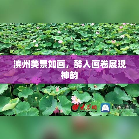滨州美景如画，醉人画卷展现神韵