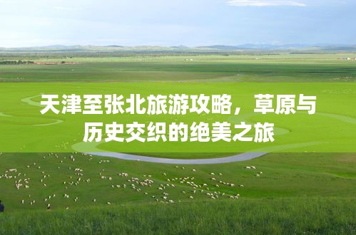 天津至张北旅游攻略，草原与历史交织的绝美之旅