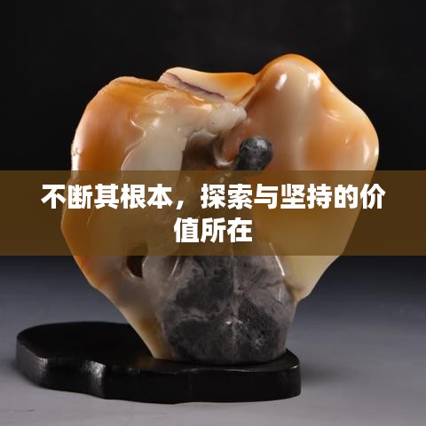 不断其根本，探索与坚持的价值所在