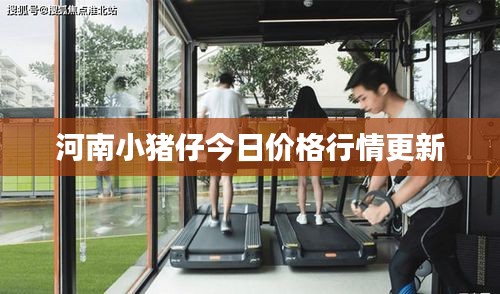 河南小猪仔今日价格行情更新