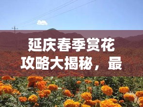 专心致志 第2页