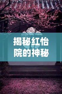 揭秘红怡院的神秘面纱，一探未知的世界