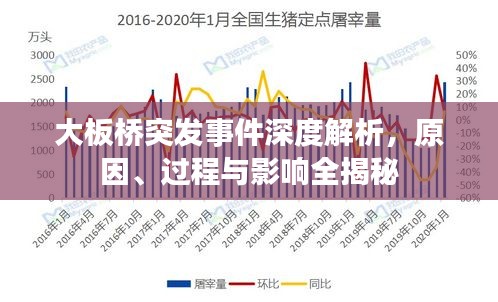 大板桥突发事件深度解析，原因、过程与影响全揭秘