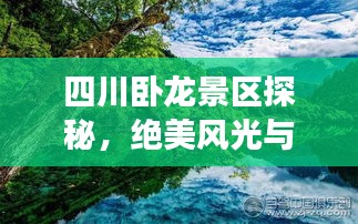 四川卧龙景区探秘，绝美风光与深度旅游攻略
