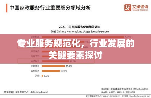专业服务规范化，行业发展的关键要素探讨