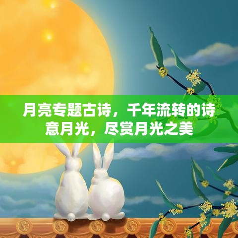 月亮专题古诗，千年流转的诗意月光，尽赏月光之美