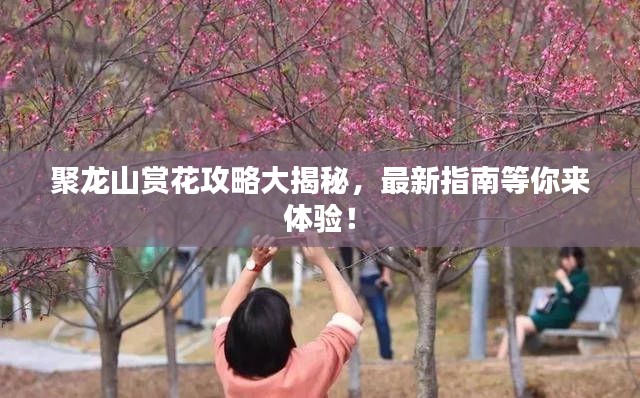 聚龙山赏花攻略大揭秘，最新指南等你来体验！