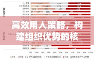 高效用人策略，构建组织优势的核心秘诀