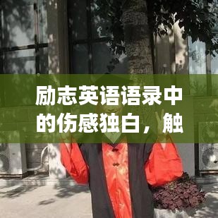 励志英语语录中的伤感独白，触动心灵的学习故事