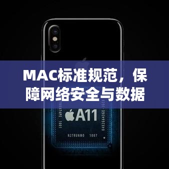 MAC标准规范，保障网络安全与数据完整性的核心要素