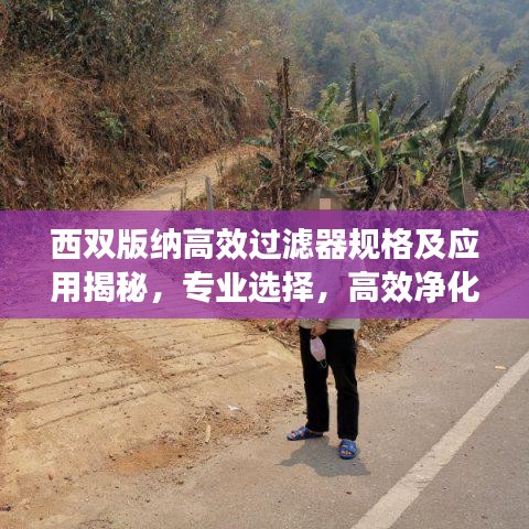 西双版纳高效过滤器规格及应用揭秘，专业选择，高效净化！