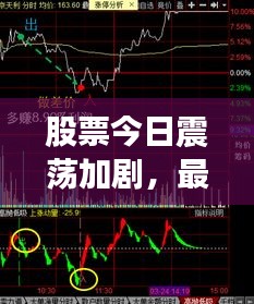 股票今日震荡加剧，最新市场动态及市场反应深度解析