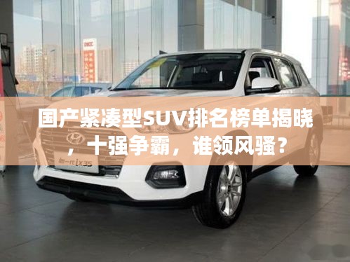 国产紧凑型SUV排名榜单揭晓，十强争霸，谁领风骚？