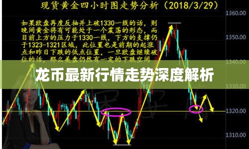 龙币最新行情走势深度解析