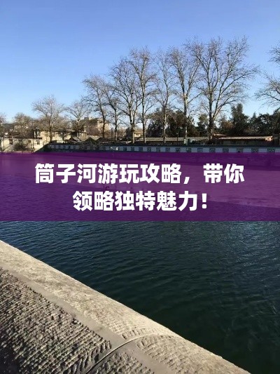 凤毛麟角 第2页