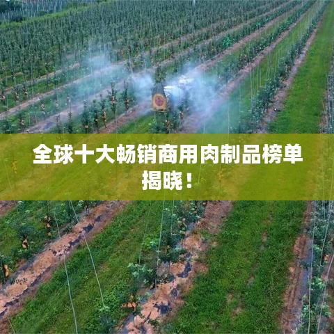 全球十大畅销商用肉制品榜单揭晓！