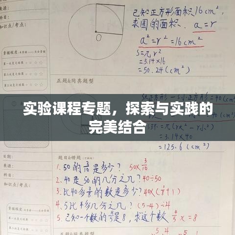 实验课程专题，探索与实践的完美结合