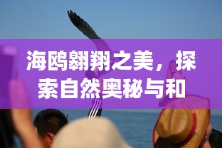 龙飞凤舞 第2页