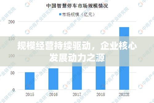 规模经营持续驱动，企业核心发展动力之源