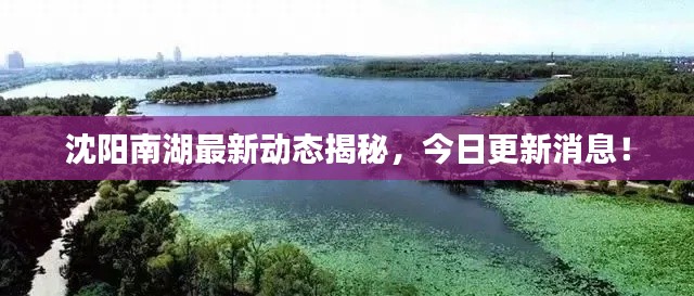 沈阳南湖最新动态揭秘，今日更新消息！