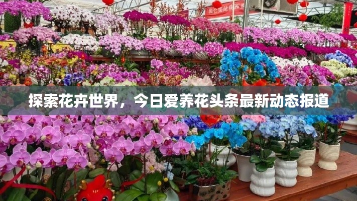 星星打烊 第2页