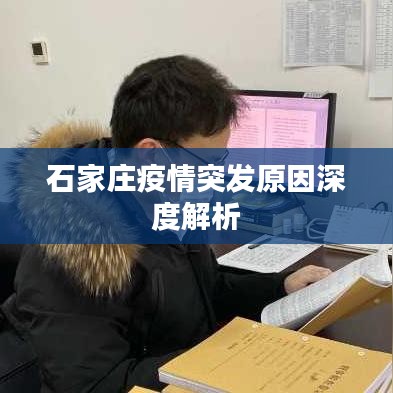石家庄疫情突发原因深度解析