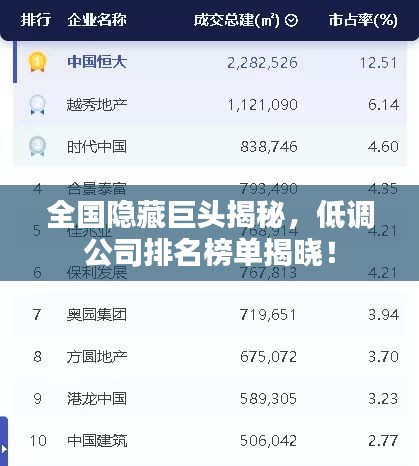 全国隐藏巨头揭秘，低调公司排名榜单揭晓！