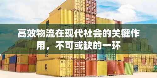 高效物流在现代社会的关键作用，不可或缺的一环