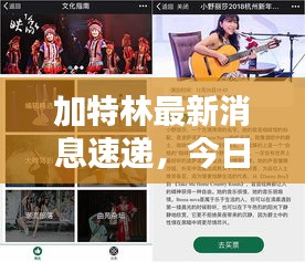 加特林最新消息速递，今日动态一网打尽！