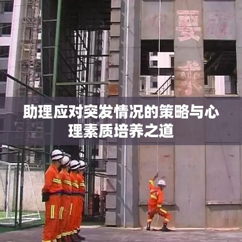 助理应对突发情况的策略与心理素质培养之道