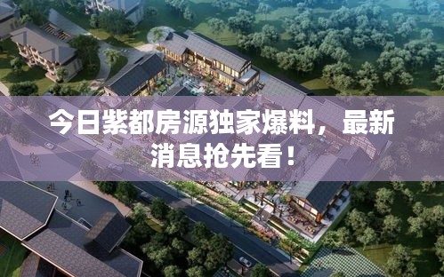 今日紫都房源独家爆料，最新消息抢先看！