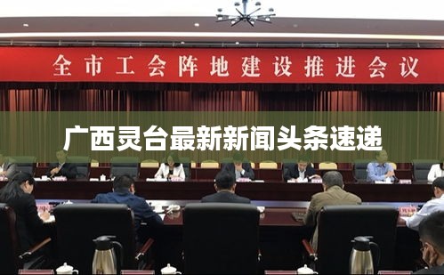 广西灵台最新新闻头条速递
