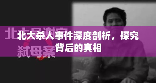 北大杀人事件深度剖析，探究背后的真相