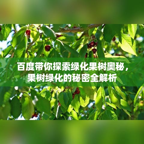 百度带你探索绿化果树奥秘，果树绿化的秘密全解析