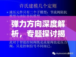 弹力方向深度解析，专题探讨揭秘