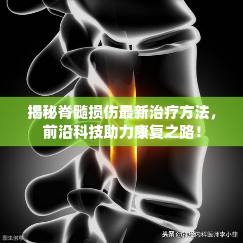 公司简介 第47页