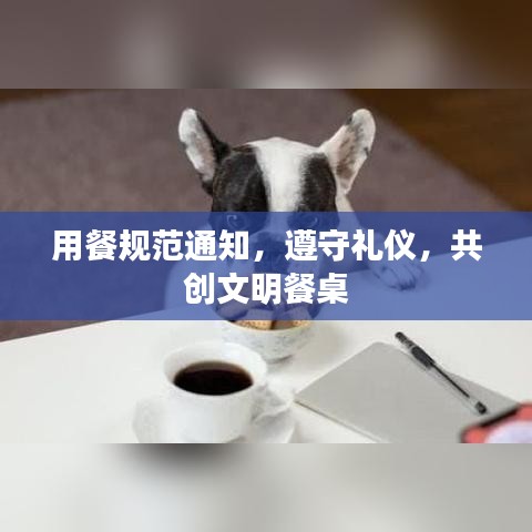 用餐规范通知，遵守礼仪，共创文明餐桌