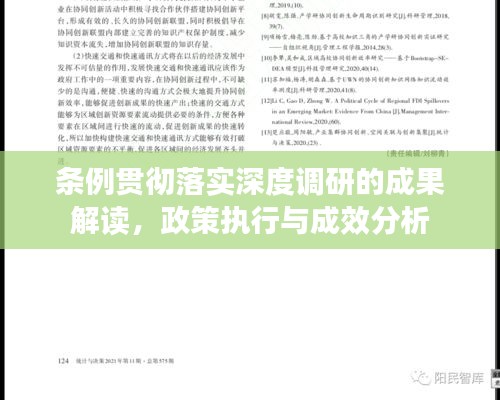 条例贯彻落实深度调研的成果解读，政策执行与成效分析