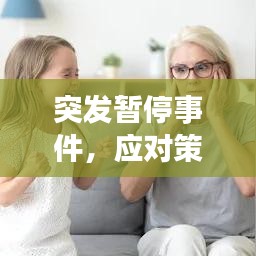 突发暂停事件，应对策略与深度反思