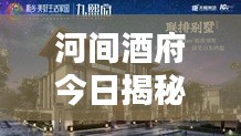 河间酒府今日揭秘，最新消息视频独家呈现！