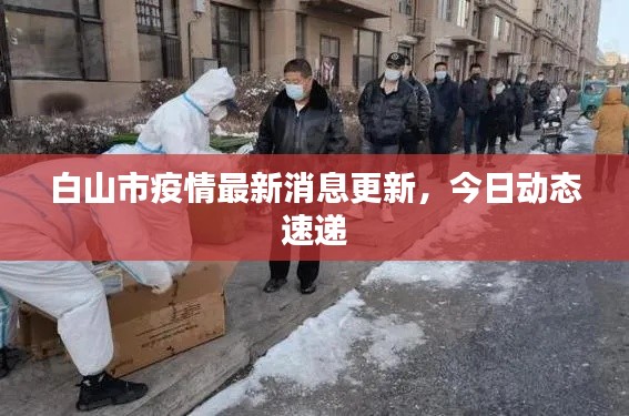 白山市疫情最新消息更新，今日动态速递
