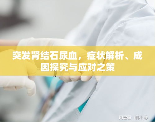 突发肾结石尿血，症状解析、成因探究与应对之策